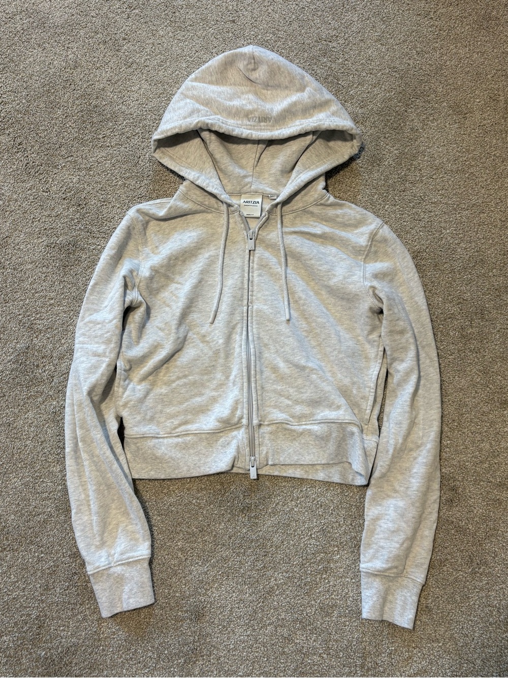 Aritzia Sweatfleece Terry Snug Fit Zip-up Hoodie